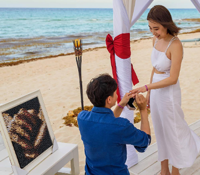 family portrait of pushpins